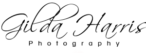 GHP-logoblack-300x112